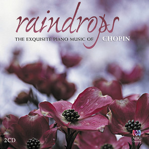 Prelude No. 15 D Flat Major, Op 28: Raindrops - Chopin | Song Album Cover Artwork