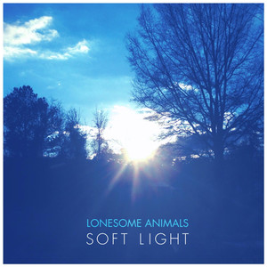 Soft Light - Lonesome Animals | Song Album Cover Artwork