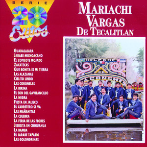 Guadalajara - Mariachi Vargas De Tecalitlan | Song Album Cover Artwork