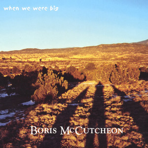 Idiot Lights Boris McCutcheon | Album Cover