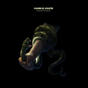 Melt Me - Hanni El Khatib | Song Album Cover Artwork
