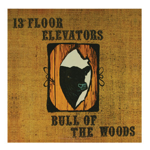 Barnyard Blues - 13th Floor Elevators | Song Album Cover Artwork
