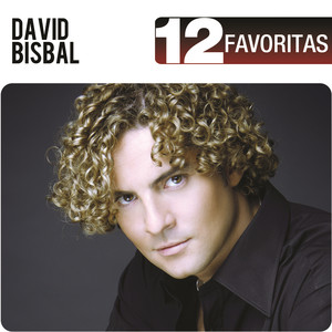 Esclavo de Sus Besos - David Bisbal | Song Album Cover Artwork