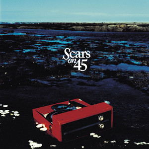 Change My Needs Scars On 45 | Album Cover