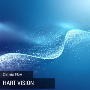 Criminal - Vision Vision
