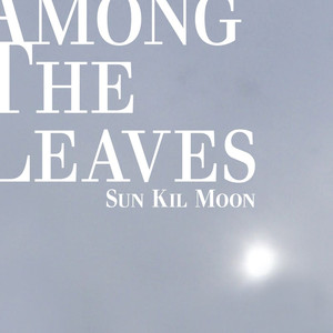 That Bird Has a Broken Wing Sun Kil Moon | Album Cover