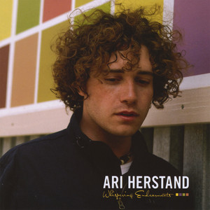 Last Day - Ari Herstand | Song Album Cover Artwork