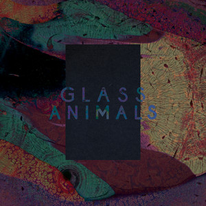 Exxus - Glass Animals | Song Album Cover Artwork