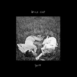 Drive - Wild Cub | Song Album Cover Artwork