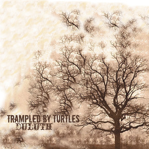 Empire - Trampled By Turtles