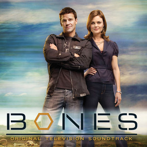 Bones Theme The Crystal Method | Album Cover