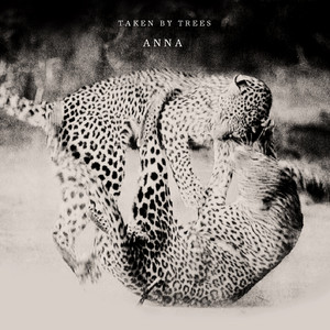 Annanass (Remixed By Andreas SÃ¶derstrÃ¶m) - Taken By Trees | Song Album Cover Artwork