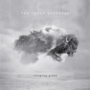 Heart In A Bottle - The Cerny Brothers | Song Album Cover Artwork