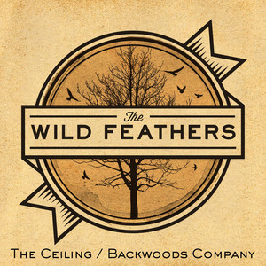 The Ceiling - The Wild Feathers | Song Album Cover Artwork