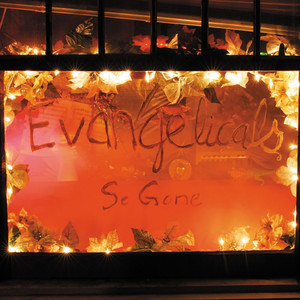 Diving - Evangelicals | Song Album Cover Artwork
