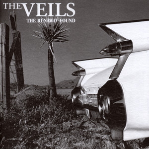 Lavinia - The Veils | Song Album Cover Artwork