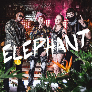 Elephant - Fame | Song Album Cover Artwork