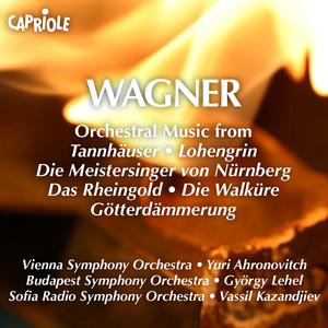 Ride of the Valkyries - Wagner