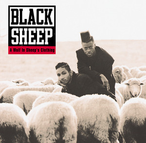 The Choice is Yours (Revisited) Black Sheep | Album Cover