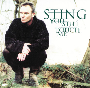 You Still Touch Me - Sting | Song Album Cover Artwork