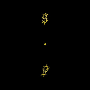 Recollections of the Wraith - Shabazz Palaces