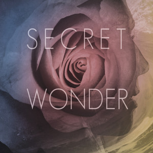 Together In the End - Secret Wonder | Song Album Cover Artwork