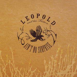 Ain't No Surprise - Leopold & His Fiction | Song Album Cover Artwork