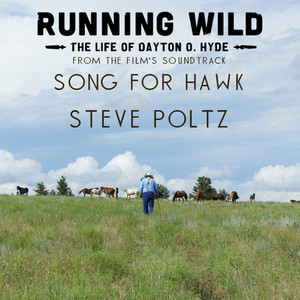 Song For Hawk - Steve Poltz | Song Album Cover Artwork
