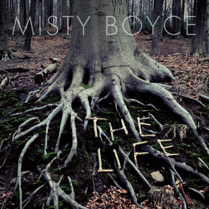 Broken Hearted Girl - Misty Boyce | Song Album Cover Artwork