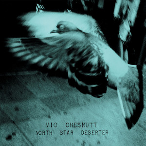 Warm - Vic Chesnutt | Song Album Cover Artwork