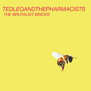 Where Was My Brain - Ted Leo and The Pharmacists | Song Album Cover Artwork