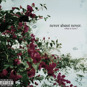 Love Is Our Weapon - Never Shout Never | Song Album Cover Artwork