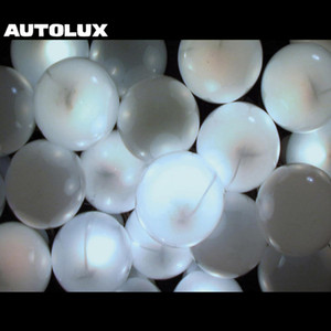 Robots In The Garden - Autolux | Song Album Cover Artwork