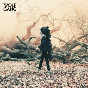 Lions In Cages - Wolf Gang | Song Album Cover Artwork