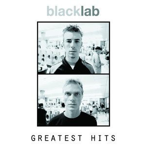 Say Goodbye Black Lab | Album Cover
