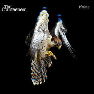 Take Over The World - The Courteeners | Song Album Cover Artwork