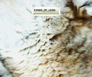 Pistol of Fire - Kings Of Leon | Song Album Cover Artwork