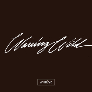 Visions - Arum Rae | Song Album Cover Artwork