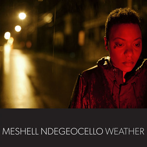 Oysters Meshell Ndegeocello | Album Cover