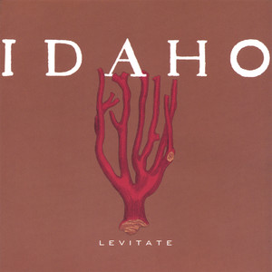 For Granted - Idaho | Song Album Cover Artwork