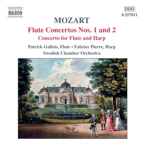 Concerto for Flute & Orchestra in D Major - Wolfgang Amadeus Mozart | Song Album Cover Artwork