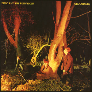 Do It Clean - Echo & The Bunnymen | Song Album Cover Artwork