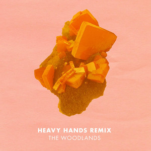 Can We Stay (Heavy Hands Remix) The Woodlands | Album Cover