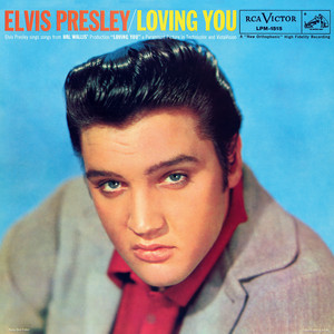 Mean Woman Blues - Elvis Presley | Song Album Cover Artwork