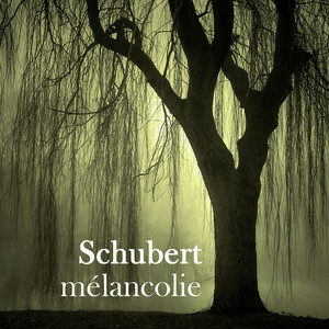 6 Moments musicaux, Op. 94, D. 780: No. 2 in A-Flat Major - Andantino - Franz Schubert | Song Album Cover Artwork