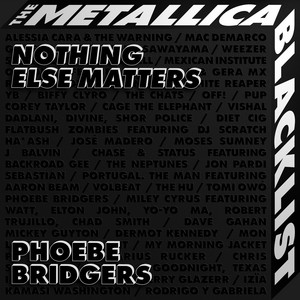 Nothing Else Matters - Phoebe Bridgers | Song Album Cover Artwork
