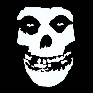 Skulls - The Misfits