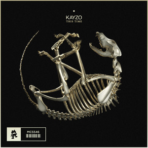 This Time - Kayzo | Song Album Cover Artwork