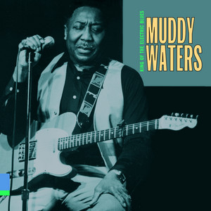 The Blues Had a Baby and They Named It Rock and Roll - Muddy Waters | Song Album Cover Artwork