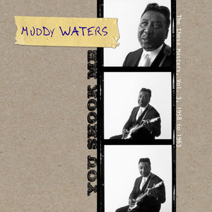 Five Long Years - Muddy Waters